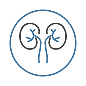 iMedica_icon-09